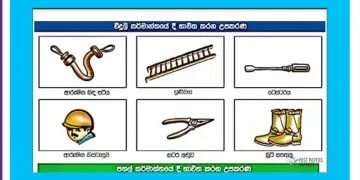 Grade 04 Environment | Apa Pariharanaya Karana de