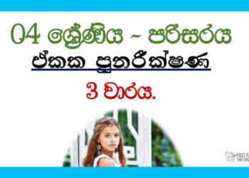 Grade 04 Environment | Revision – 3rd Term