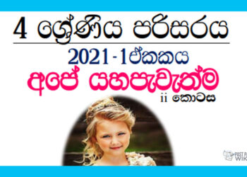 Grade 04 Environment | Unit 01 – Ape Yahapewethma (2)