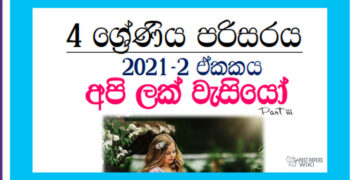 Grade 04 Environment | Unit 02- Api Lak Wasiyo (03)