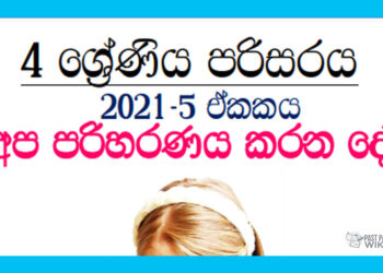 Grade 04 Environment | Unit 05- Apa Pariharanaya Karana De