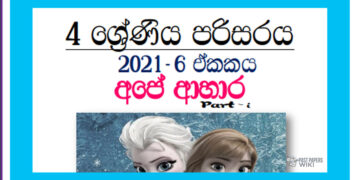 Grade 04 Environment | Unit 06 – Our Foods (1)