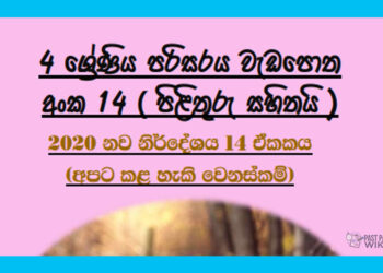 Grade 04 Environment Unit 14 | Apata Kalaheki Wenaskam