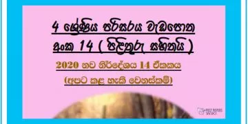 Grade 04 Environment Unit 14 | Apata Kalaheki Wenaskam