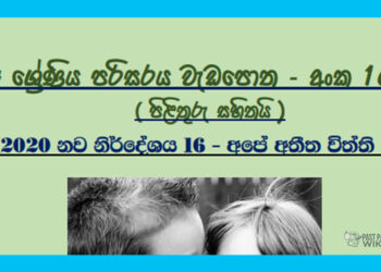 Grade 04 Environment Unit 16 | Ape Athiitha Viththi