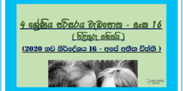 Grade 04 Environment Unit 16 | Ape Athiitha Viththi