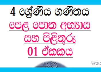 Grade 04 Mathematics | Unit 01 Questions & Answers