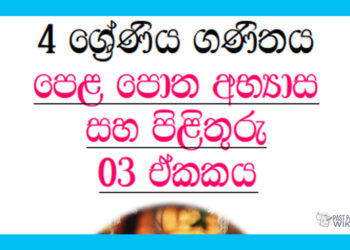 Grade 04 Mathematics | Unit 03 Questions and Answers