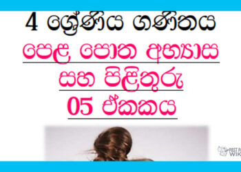 Grade 04 Mathematics | Unit 05 Questions and Answers