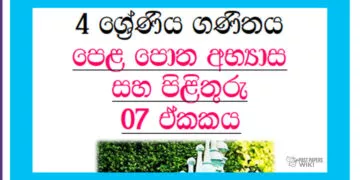 Grade 04 Mathematics | Unit 07 Questions and Answers