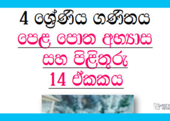 Grade 04 Mathematics | Unit 14 Questions and Answers
