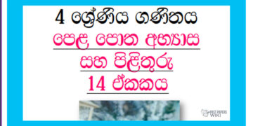 Grade 04 Mathematics | Unit 14 Questions and Answers