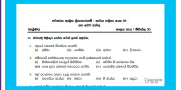 Grade 05 Environment | Unit 01- Environmental Activities (04)