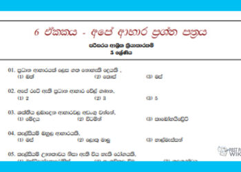 Grade 05 Environment | Unit 06- Our Foods – paper