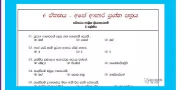 Grade 05 Environment | Unit 06- Our Foods – paper