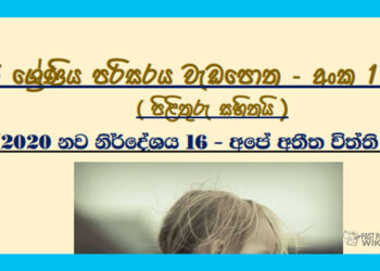 Grade 05 Environment Unit 16 | Ape Athiitha Viththi Workbook