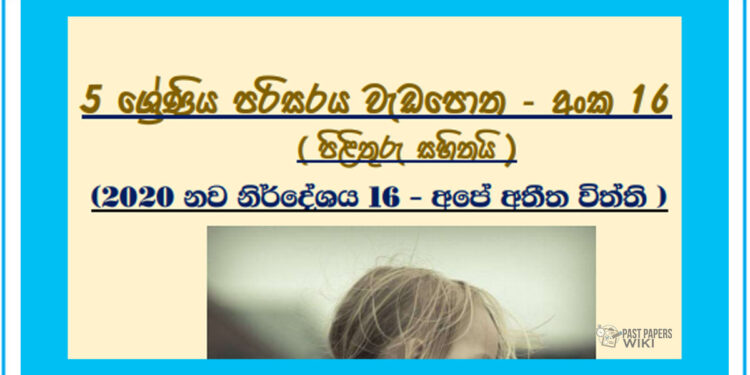 Grade 05 Environment Unit 16 | Ape Athiitha Viththi Workbook