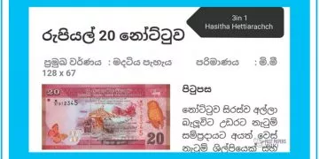 Grade 05 Mathematics | Money