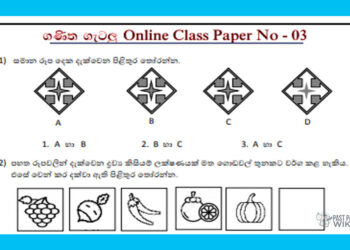 Grade 05 Mathematics | Questions Paper No 03