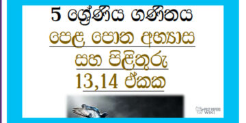 Grade 05 Mathematics | Unit 13,14 Questions & Answers