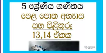 Grade 05 Mathematics | Unit 13,14 Questions & Answers