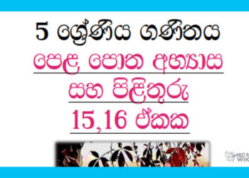 Grade 05 Mathematics | Unit 15,16 Questions and Answers