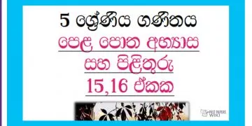 Grade 05 Mathematics | Unit 15,16 Questions and Answers