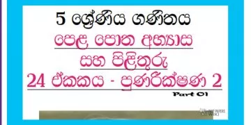Grade 05 Mathematics | Unit 24 Questions and Answers