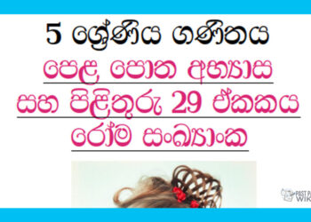 Grade 05 Mathematics Unit 29 | Roman Numerals