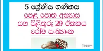 Grade 05 Mathematics Unit 29 | Roman Numerals