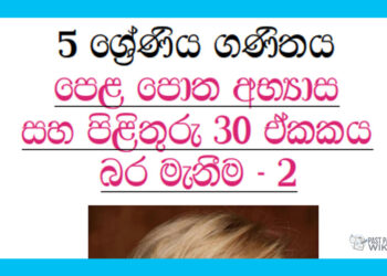 Grade 05 Mathematics Unit 30 | Weight Measurement (2)