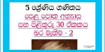 Grade 05 Mathematics Unit 30 | Weight Measurement (2)