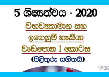 Grade 05 | Potential Workbook (1) 2020