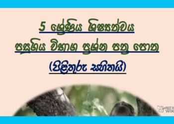 Grade 05 Scholarship Exam | Past Papers Book (2014 to 2019)