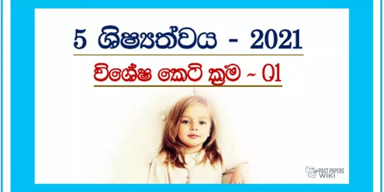Grade 05 Scholarship Exam | Strategies 01 – 2021