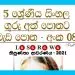 Grade 05 Sinhala | Workbook (8)