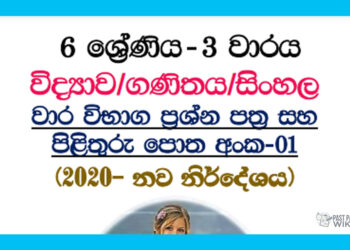 Grade 06 | 3rd Term Test Paper (1)