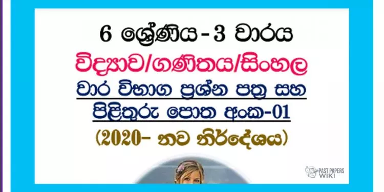 Grade 06 | 3rd Term Test Paper (1)