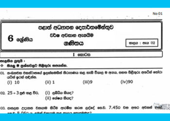 Grade 06 Mathematics | 3rd Term Test (1)