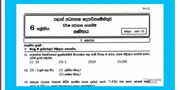 Grade 06 Mathematics | 3rd Term Test (1)