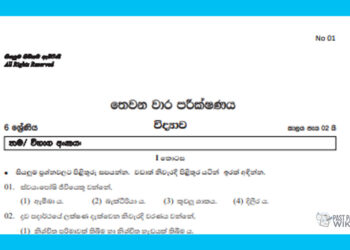 Grade 06 Science | 3rd Term Test (1)