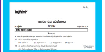 Grade 06 Science | 3rd Term Test (1)