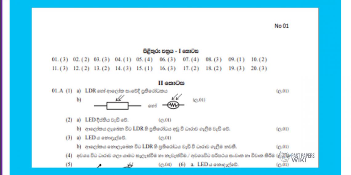 science grade 6 questions and answers term 3