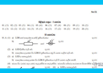 Grade 06 Science | 3rd Term Test (1) answers