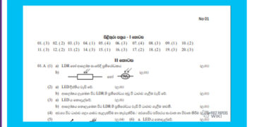 Grade 06 Science | 3rd Term Test (1) answers