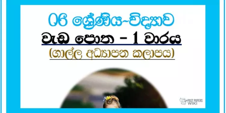 Grade 06 Science | Workbook 1st Term – Galle Education Zone