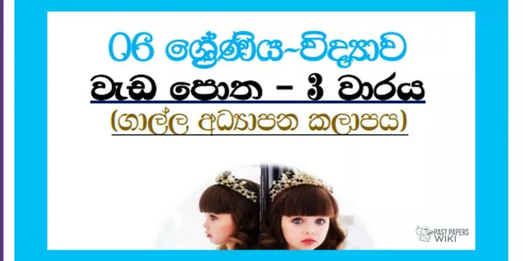 Grade 06 Science | Workbook 3rd Term – Galle Education Zone