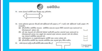 Grade 07 Mathematics | Model Paper – Unit 01