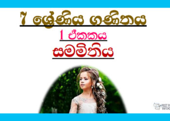 Grade 07 Mathematics Unit 01 | Symmetry Tutorial