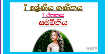 Grade 07 Mathematics Unit 01 | Symmetry Tutorial